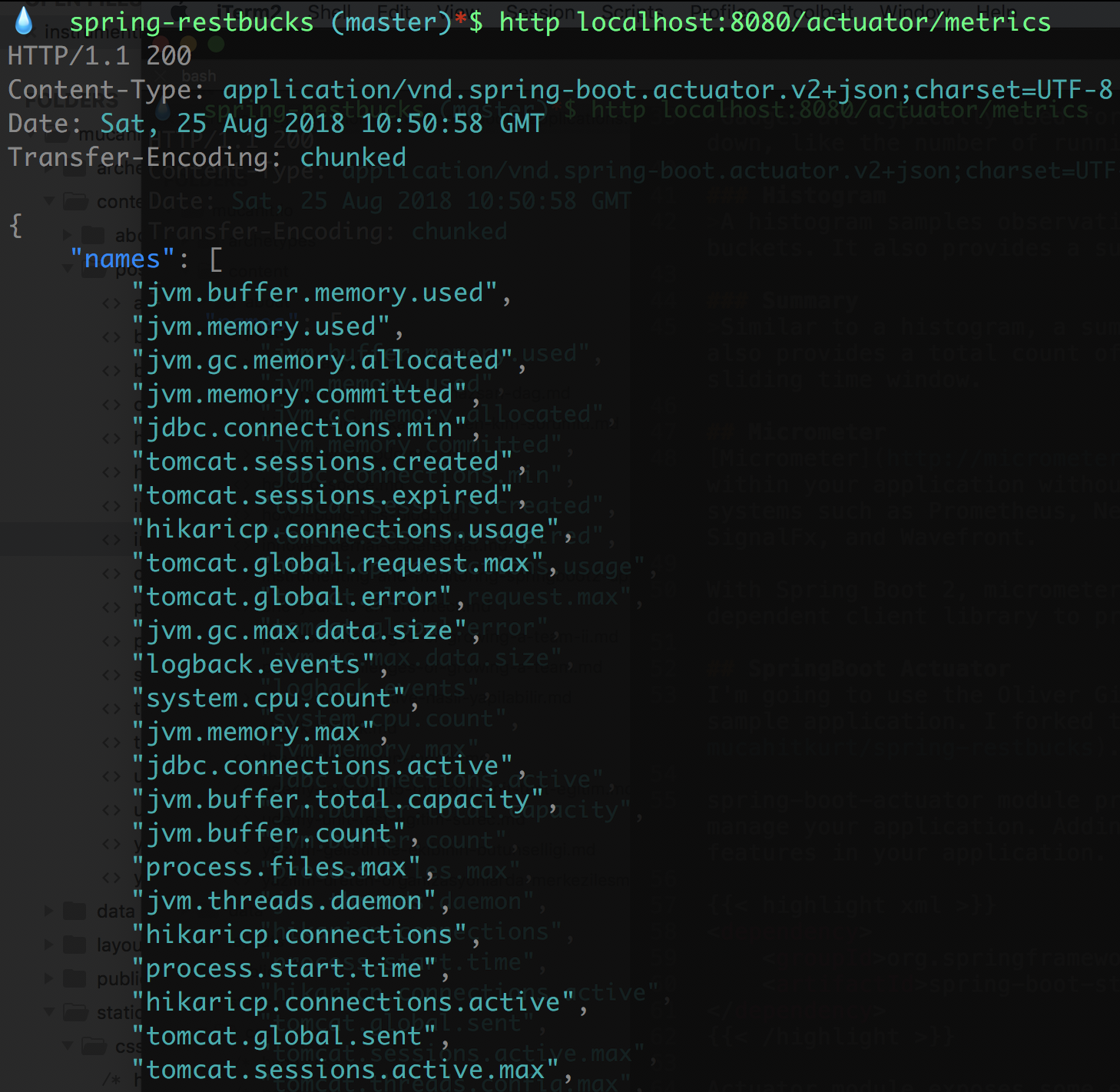 Micrometer default exposed metrics